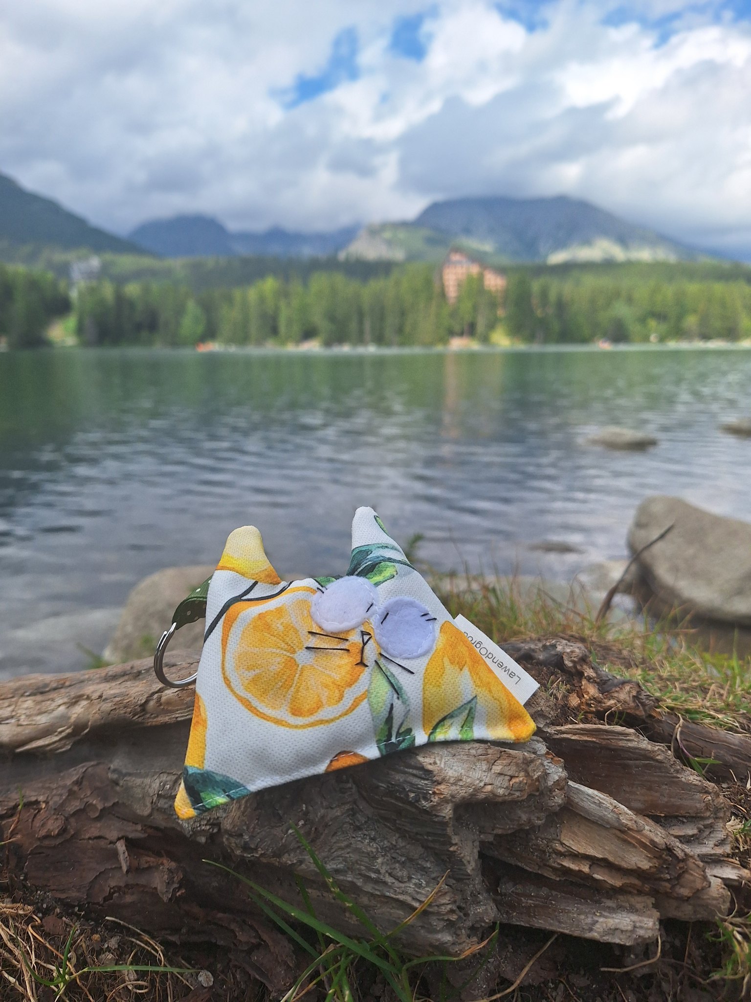 Štrbské Pleso